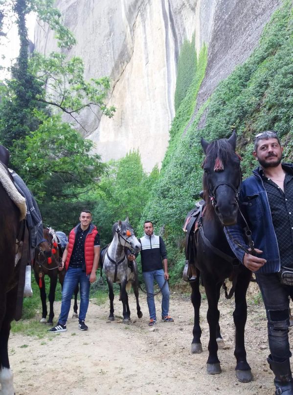 ippis received 1882199245145553