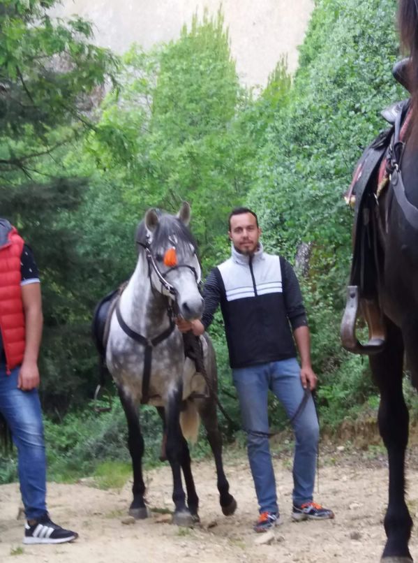 ippis received 1882199838478827