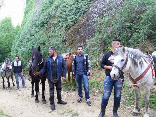 ippis received 1882200288478782