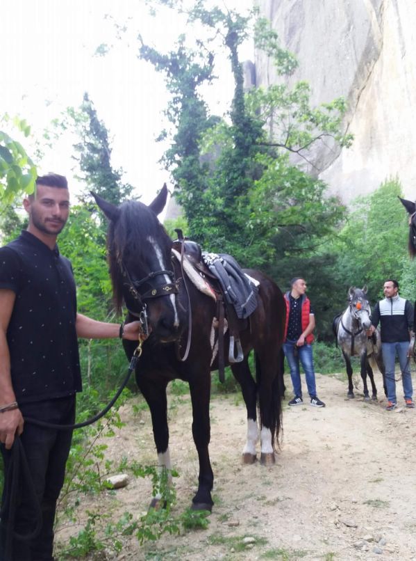 ippis received 1882200928478718