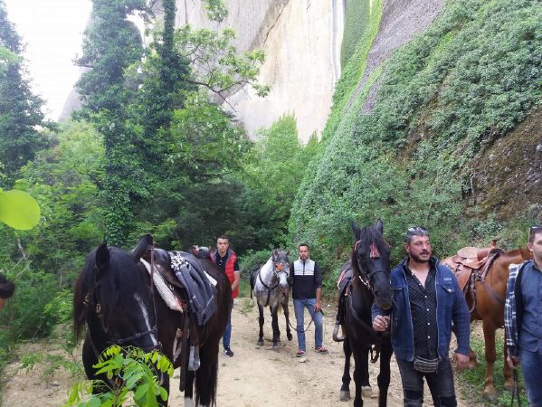 ippis received 1882200938478717