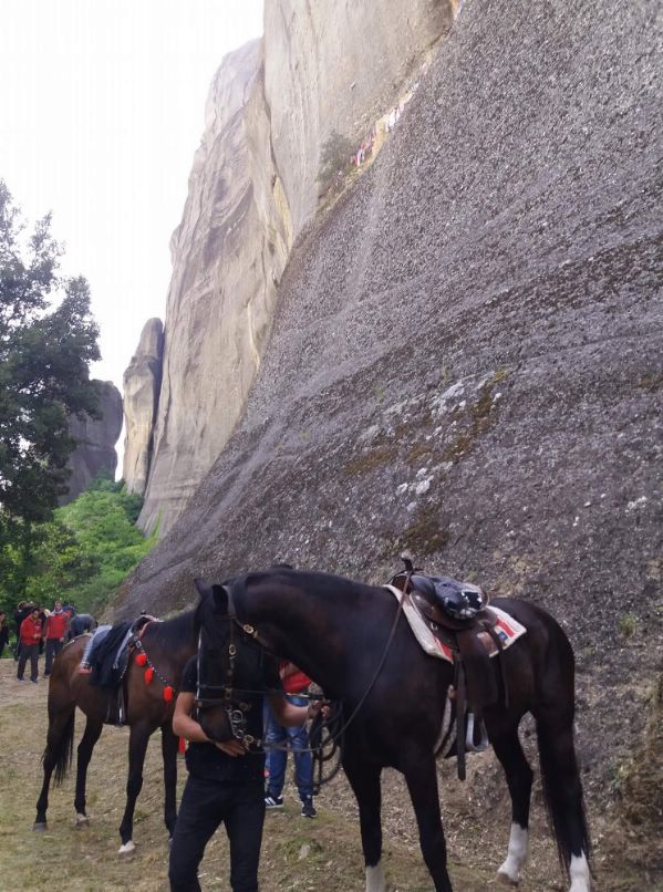 ippis received 1882203925145085