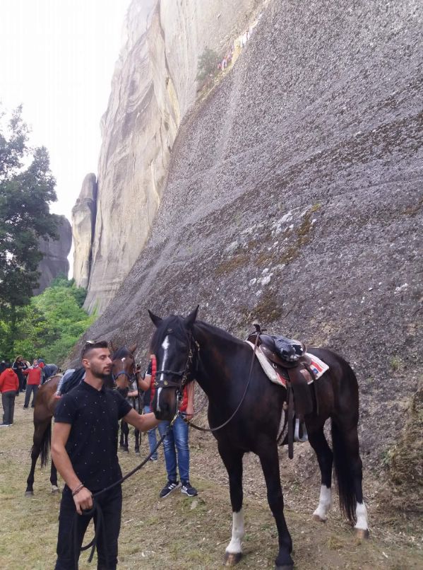 ippis received 1882205565144921