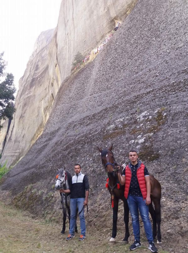 ippis received 1882206225144855