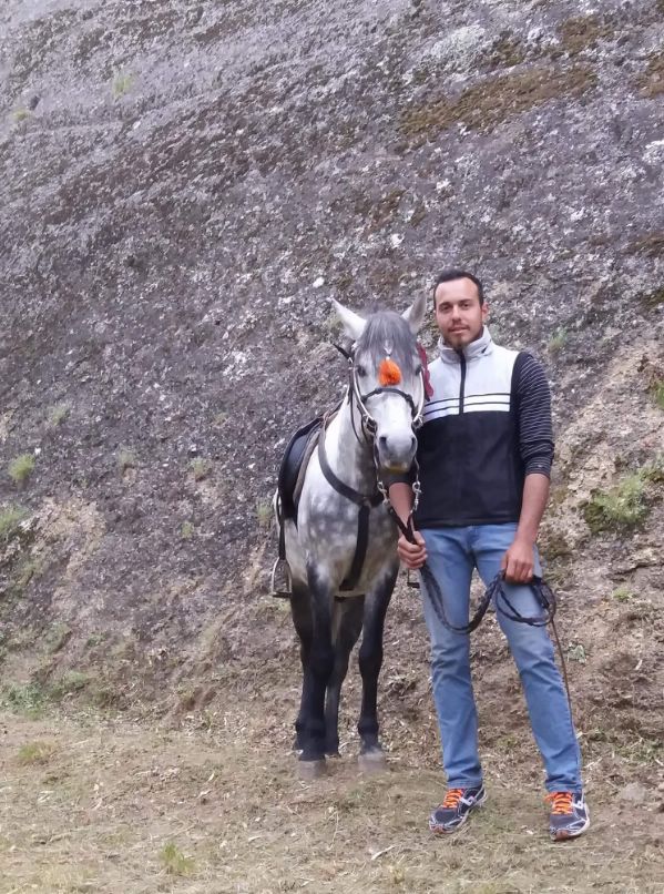 ippis received 1882208851811259