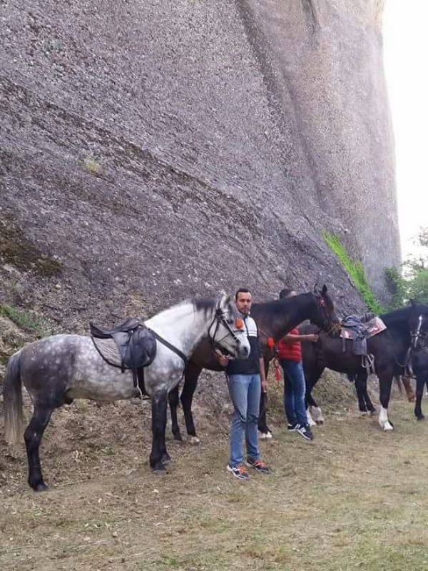 ippis received 1882209298477881