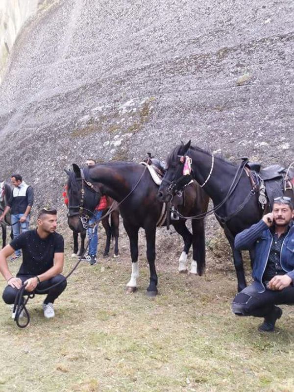 ippis received 1882209301811214