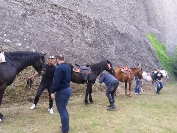 ippis received 1882209305144547