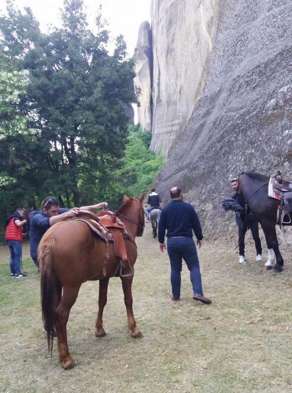 ippis received 1882210425144435