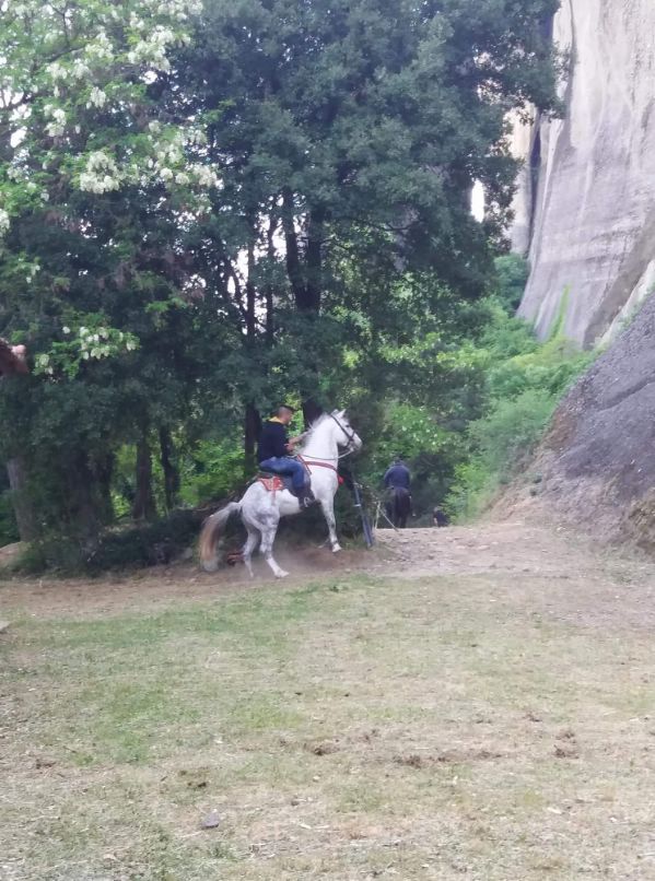 ippis received 1882213885144089