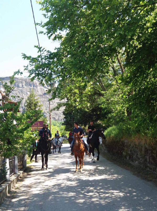 ippis received 1882215538477257