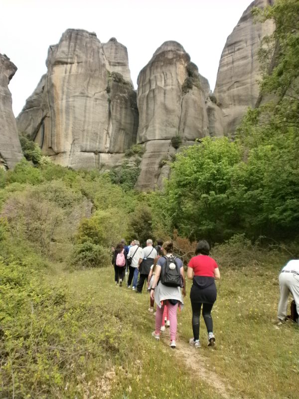 meteora olk 18 44P4150103