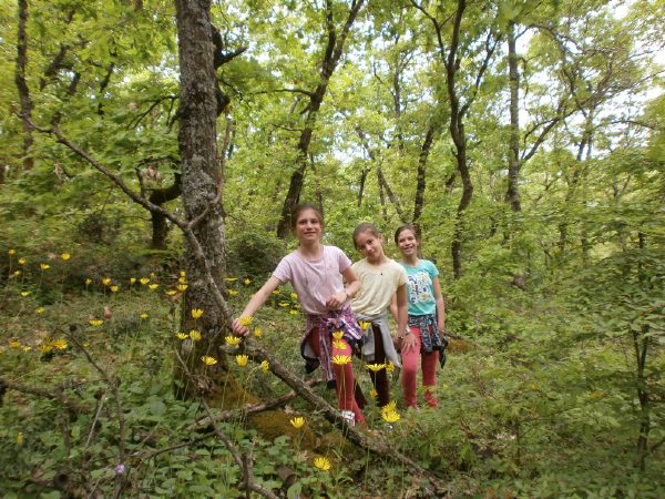 meteora olk 18 44P4150148