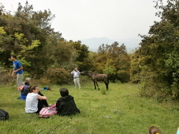 meteora olk 18 44P4150181