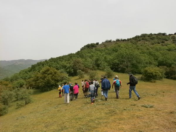 meteora olk 18 44P4150241