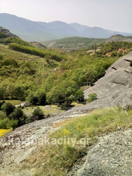 received 1616466825138424 wm