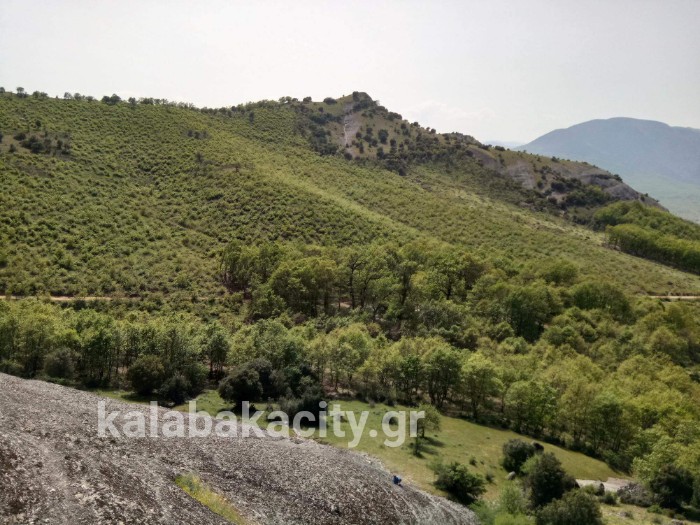 received 1616466861805087 wm