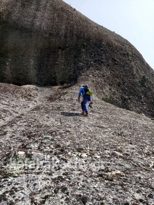 received 1616467171805056 wm