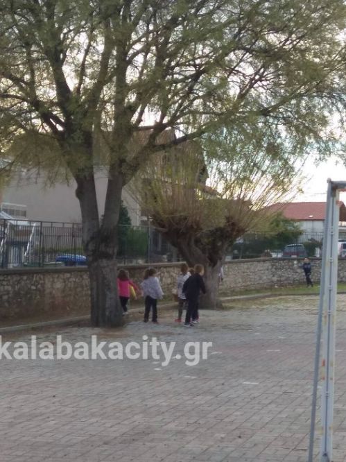 vasiliki sxolio frIMG-2046a62bf884376842325e3ccc9f733d-V wm