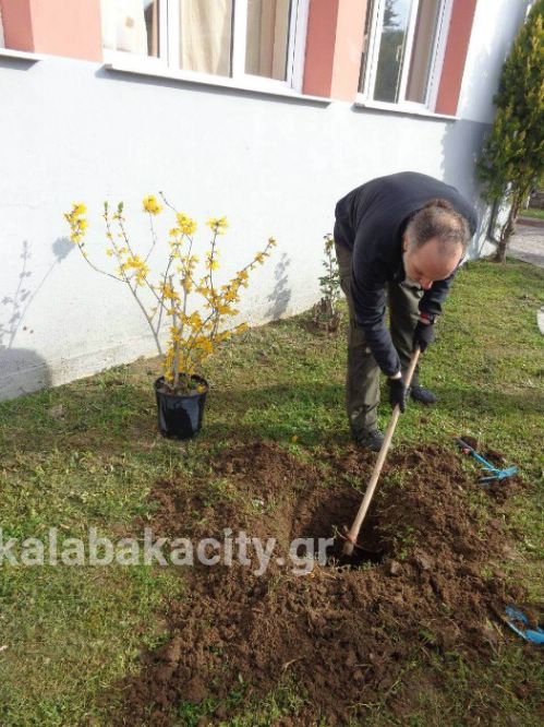 vasiliki sxolio frIMG-831cf7623d79f3695b7e06195390c444-V wm