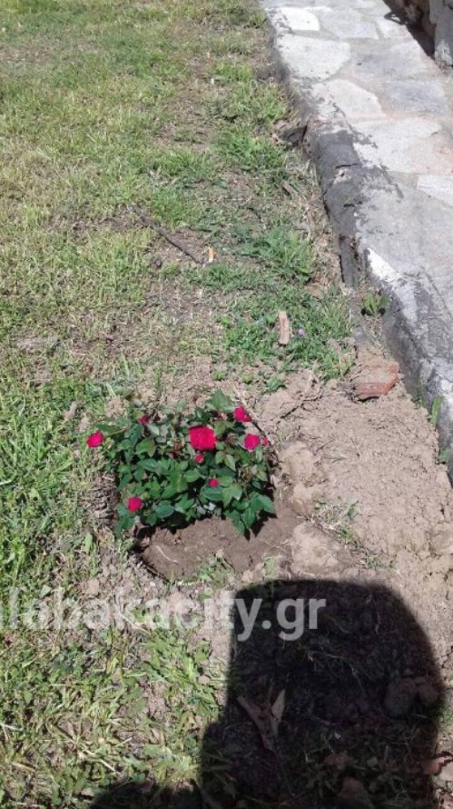 vasiliki sxolio frIMG-95da8541a15fdeb89d51b15e83ce333d-V wm