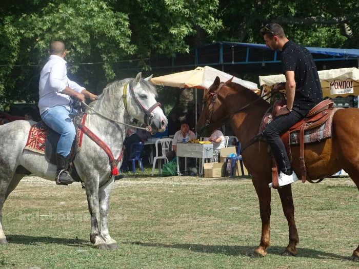 22 antamoma xasioton 2018DSC02314