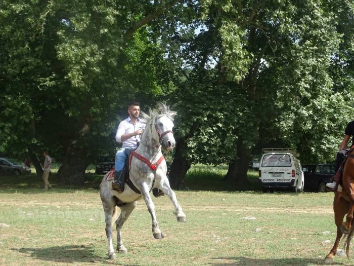 22 antamoma xasioton 2018DSC02321