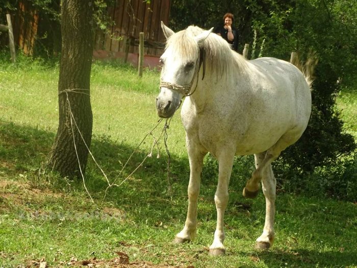 22 antamoma xasioton 2018DSC02430