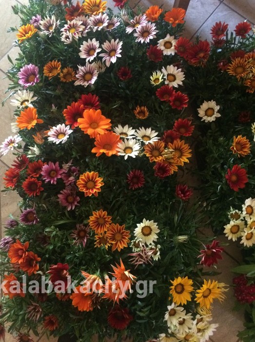 IMG-0053abbbec02021c621721f3b594a96c-V wm