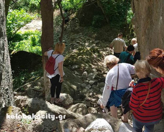 agio pnevma 201833719275 10216404882338273 5383021939600130048 n