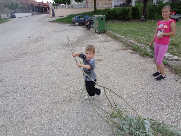 agiofyllo parko 1833642754 91879277496