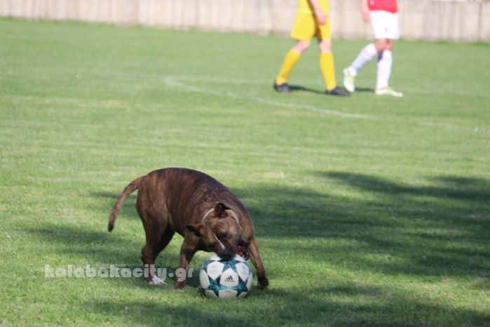 aok sva 2018IMG 9577