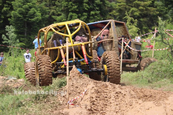 xrysomhlia 44 2018IMG 1551