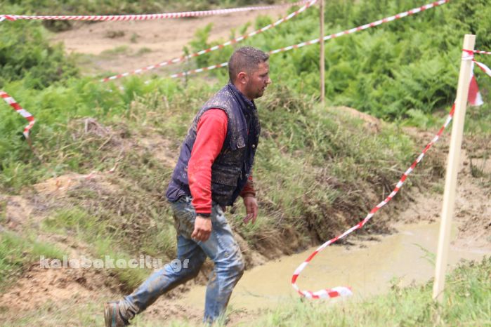 xrysomhlia 44 2018IMG 1563