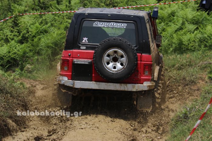 xrysomhlia 44 2018IMG 1605