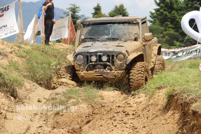 xrysomhlia 44 2018IMG 1642