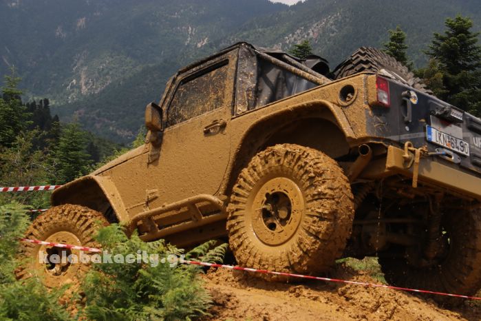 xrysomhlia 44 2018IMG 1648