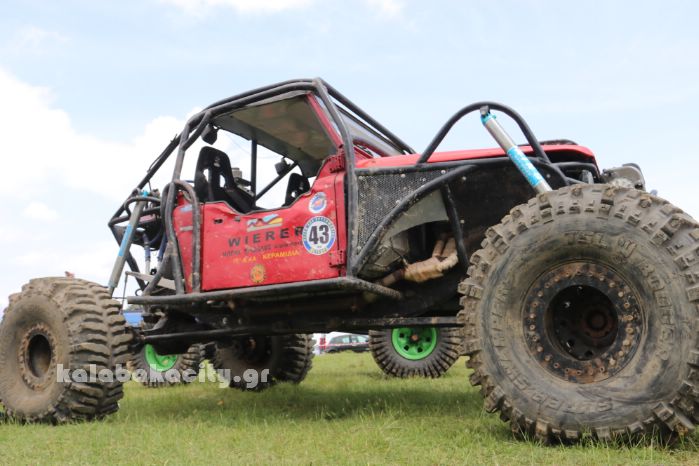 xrysomhlia 44 2018IMG 1686