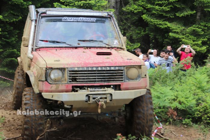 xrysomhlia 44 2018IMG 1759