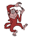 Monkey_dance