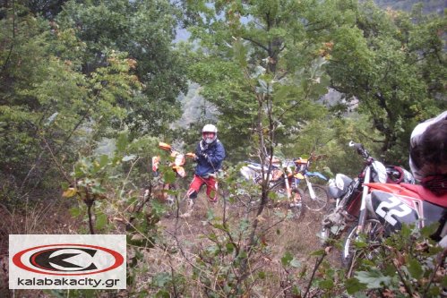 Δραστηριότητες της ΜΟ.ΛΕ.Κ Δραστηριότητες της ΜΟ.ΛΕ.Κ