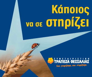 Synaiteriastiki_trapeza_21